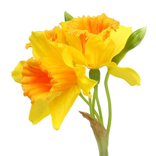 Floristik24 Narcizo geltona L40cm