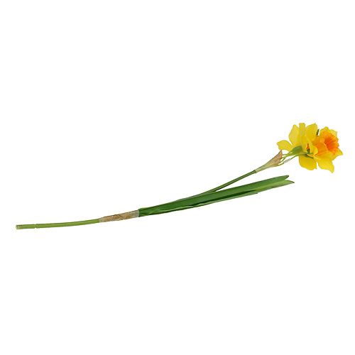 Floristik24 Narcizo geltona L40cm