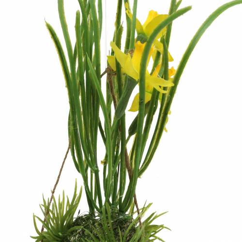 Floristik24 Narcizas kiaušinio lukšte pakabinti Dirbtinė geltona 25cm