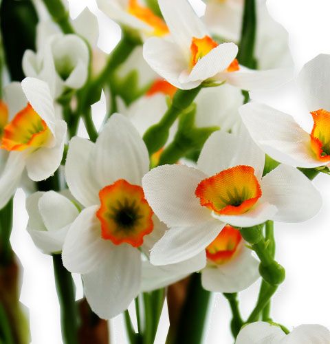 daiktų Narcizų puokštė baltos spalvos 35cm 3vnt