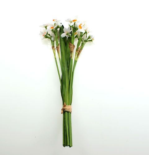 Floristik24 Narcizų puokštė baltos spalvos 35cm 3vnt
