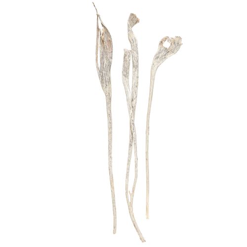 daiktų Natraj Antler Wood Mix White Washed 10 vnt