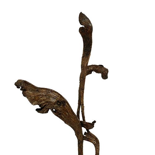 daiktų Natraj Antler Wood Mix Natural 10 vnt