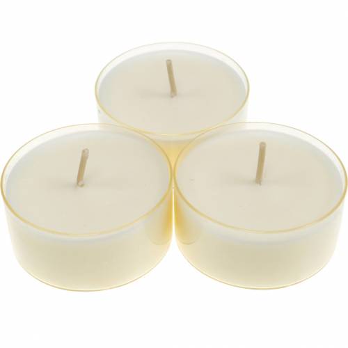 Floristik24 Žvakės Pure Nature Lights Degimo laikas 10 val. Žvakės rapsų vaškas 8 vnt.
