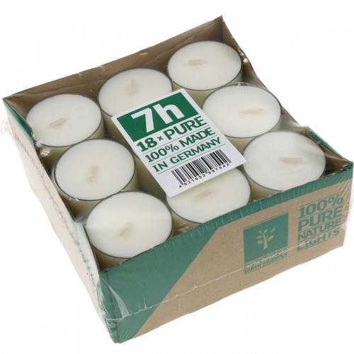 Floristik24 PURE Nature Lights Arbatinės žvakutės Rapsų vaškas Natūralus degimo laikas 7 valandos 18 vnt