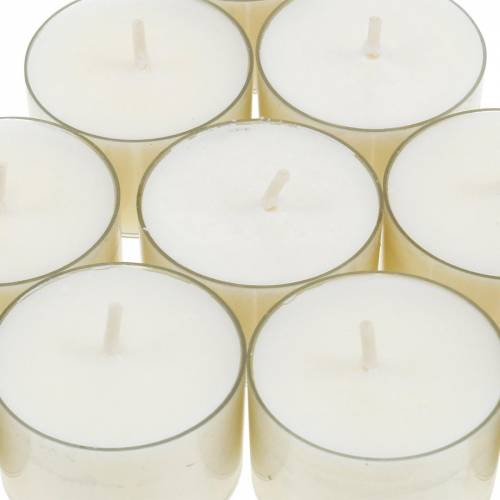 Floristik24 PURE Nature Lights Arbatinės žvakutės Rapsų vaškas Natūralus degimo laikas 7 valandos 18 vnt