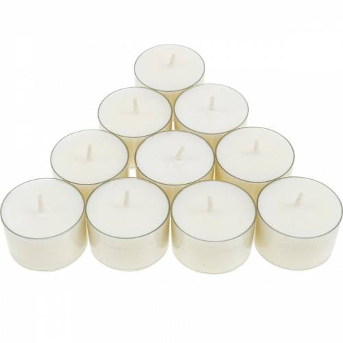 Floristik24 PURE Nature Lights Arbatinės žvakutės Rapsų vaškas Natūralus degimo laikas 7 valandos 18 vnt