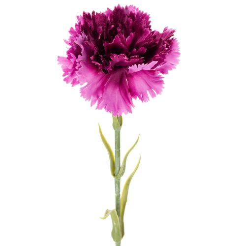 Dirbtiniai gvazdikai, dvispalviai, ilgas kotas 56 cm, 8 vnt. kekė. pirkti | Floristik24.lt
