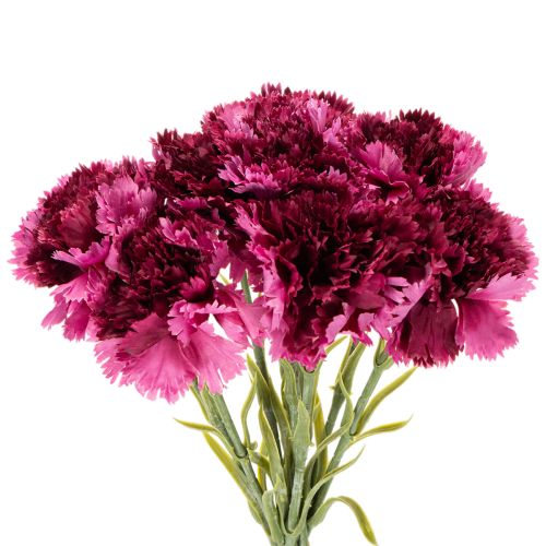 Dirbtiniai gvazdikai, dvispalviai, ilgas kotas 56 cm, 8 vnt. kekė. | Floristik24.lt