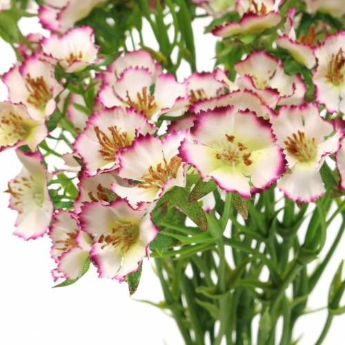 Floristik24 Gvazdikų kekė Balta, violetinė 34cm