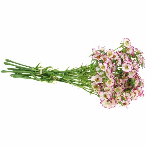 Floristik24 Gvazdikų kekė Balta, violetinė 34cm