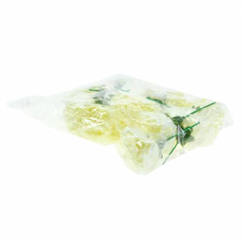 daiktų Gvazdikų žiedas baltas Ø9cm 12vnt