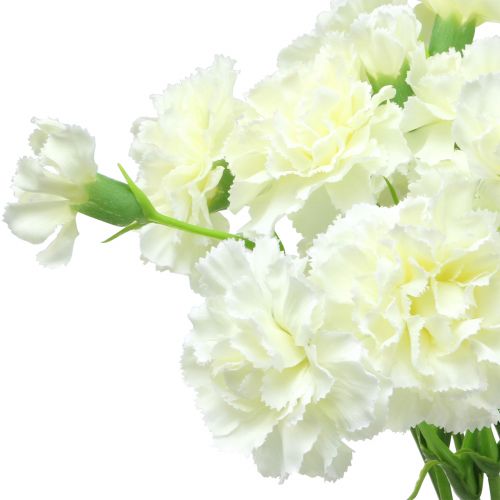 Floristik24 Gvazdikas baltas 64cm 4vnt