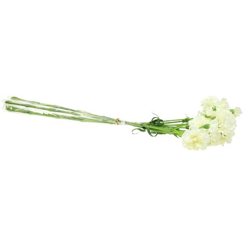 Floristik24 Gvazdikas baltas 64cm 4vnt