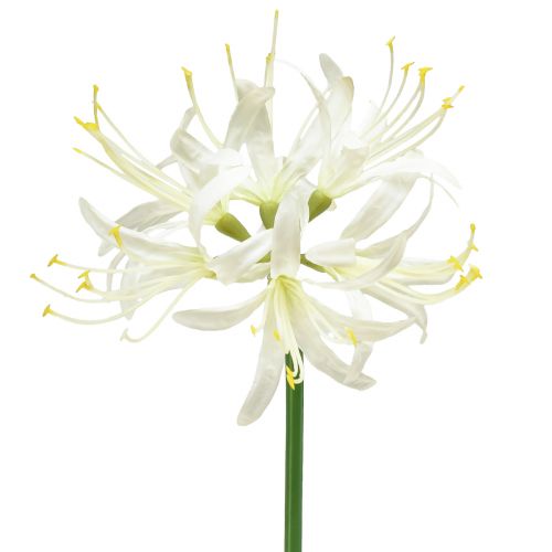Nerine Guernsey lelijos dirbtinė gėlė balta geltona Ø15cm L65cm