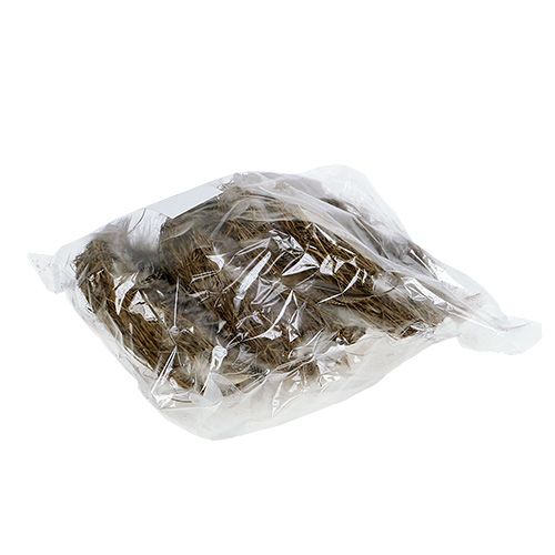 Floristik24 Lizdas su plunksnomis 15cm natūralus 4vnt