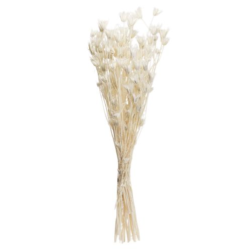 daiktų Džiovinti Nigella Orientalis žiedai, juodieji kmynai, baltieji, 50 cm, 100 g