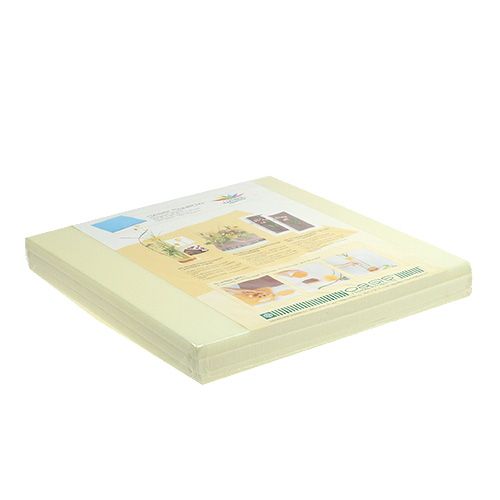 Floristik24 OASIS® Designer Plokštės Ivory Ivory 3 vnt