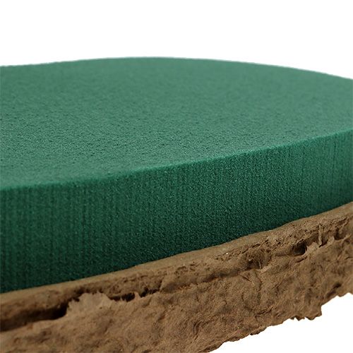 daiktų OASIS® Biolit® širdelė didelė 34cm 2 vnt