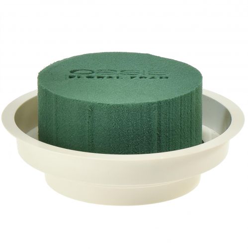 Floristik24 OASIS® Junior Complete 12 vnt