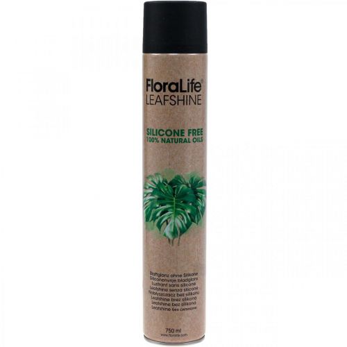 Oasis Floralife Leaf Shine Leaf Shine Spray 750ml