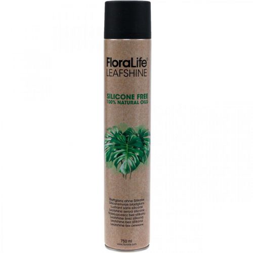 Floristik24 Oasis Floralife Leaf Shine Leaf Shine Spray 750ml