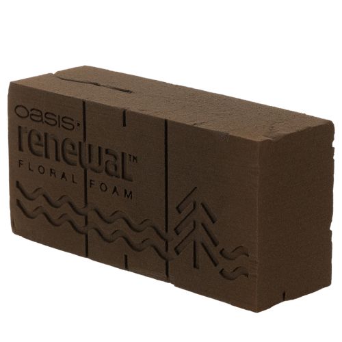 „Oasis Renewal Floral Foam“ plytelė 23 cm | Floristik24.lt