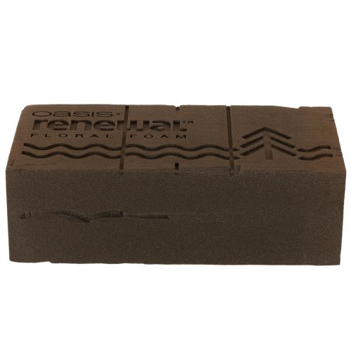 „Oasis Renewal Floral Foam“ plytelė 23 cm | Floristik24.lt