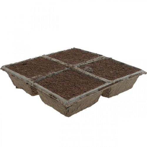 daiktų OASIS® TerraBrick™ Tvarus junginys, pagamintas iš kokoso pluošto 8 vnt