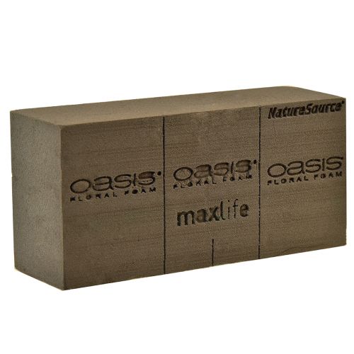 Floristik24 Oasis NatureSource Maxlife Floral Foam Brick Brown 23×11×7,5cm 1 vnt.