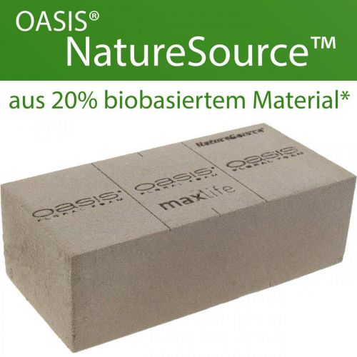 Floristik24 OASIS® BIOLIT® NatureSource plytų gėlių putos 23cm×11cm×7cm 10 vnt.