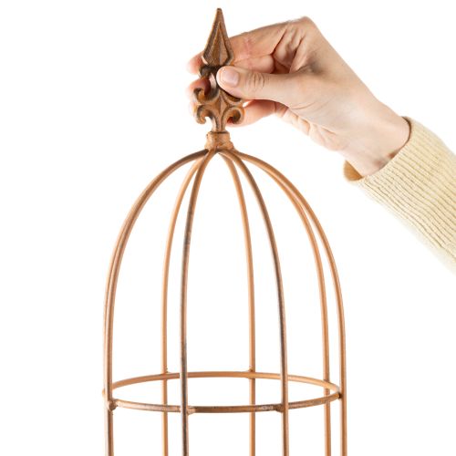 daiktų Sodo grotelės, laipiojimo priemonė rožėms ir kitiems vijokliniams augalams, idealus sodo dizainas, 108 cm, 2 vnt. rinkinys.