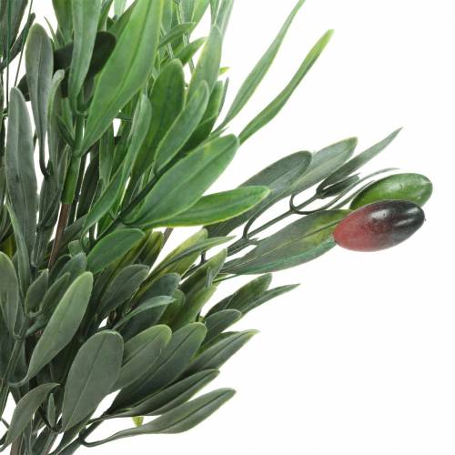 Floristik24 Dirbtinė alyvuogių šakelė žalia 27cm 7 vijos