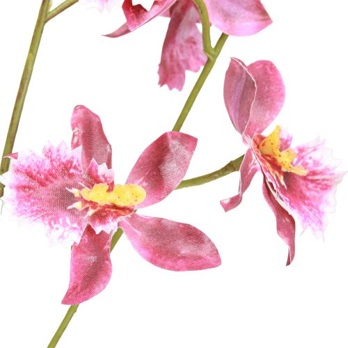 daiktų Oncidium Dirbtinių Orchidėjų Dekoracija Rožinė Violetinė 93cm 2vnt