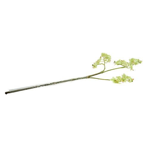 Floristik24 Orchidėja 97cm šviesiai žalia
