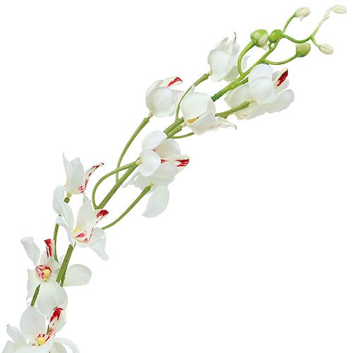 daiktų Orchid Mokara White 92cm 3vnt