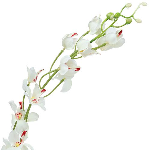daiktų Orchid Mokara White 92cm 3 vnt