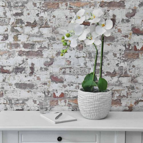 Floristik24 Balta orchidėja ant 65 cm lemputės