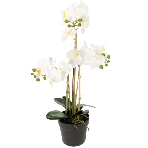 Floristik24 Dirbtinė orchidėja vazone harmoningai aplinkai, balta, 60 cm