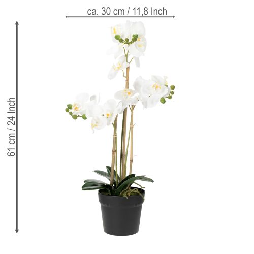 daiktų Dirbtinė orchidėja vazone harmoningai aplinkai, balta, 60 cm