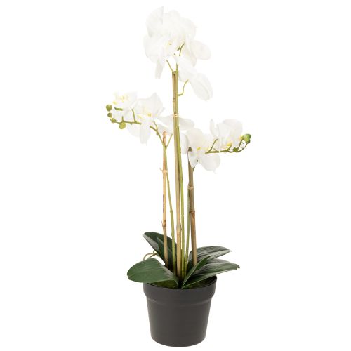 daiktų Dirbtinė orchidėja vazone harmoningai aplinkai, balta, 60 cm