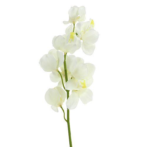 Dirbtinis orchidėjų kremas 50cm 6vnt