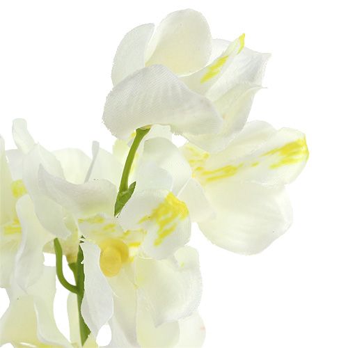 daiktų Dirbtinis orchidėjų kremas 50cm 6vnt