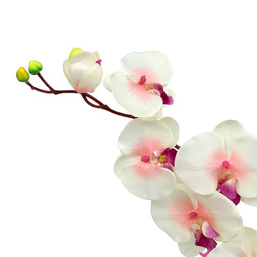 Floristik24 Orchidėja su 2 šakomis 60cm baltai rožinė