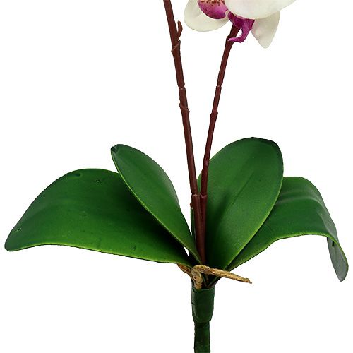 Floristik24 Orchidėja su 2 šakomis 60cm baltai rožinė