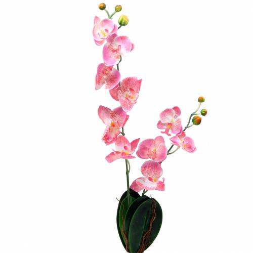 Orchidėja Phalaenopsis dirbtinė rožinė 60cm | Floristik24.lt