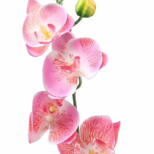 Orchidėja Phalaenopsis dirbtinė rožinė 60cm | Floristik24.lt