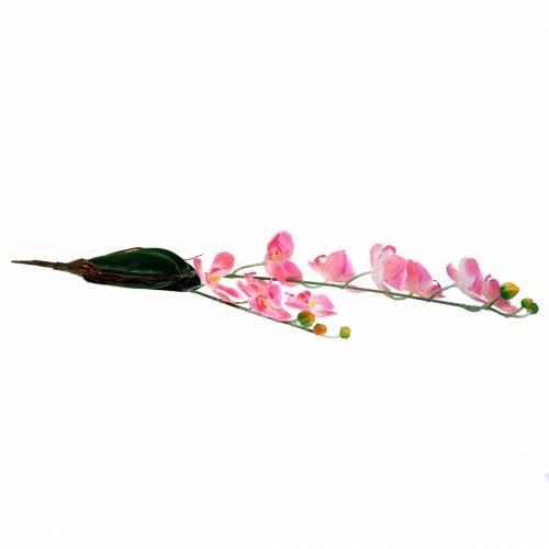 Orchidėja Phalaenopsis dirbtinė rožinė 60cm | Floristik24.lt