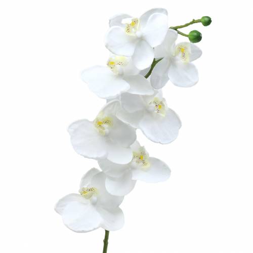 Floristik24 Dirbtinė orchidėja dirbtinė gėlė balta Ø6,5-8cm 77cm