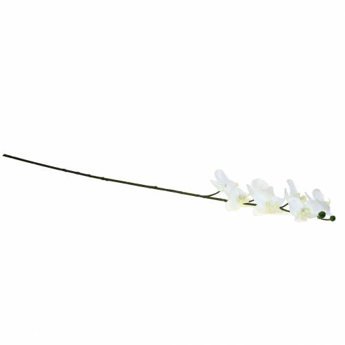 daiktų Dirbtinė orchidėja dirbtinė gėlė balta Ø6,5-8cm 77cm